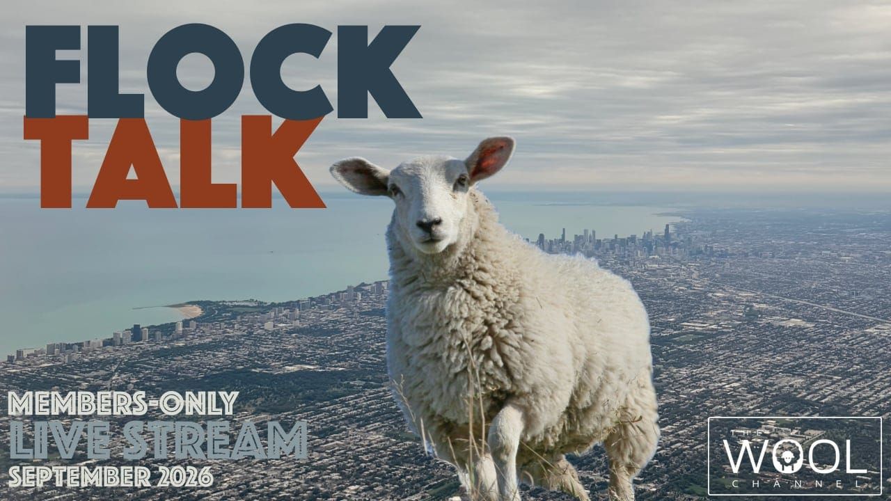 Flock Talk on Wednesday!