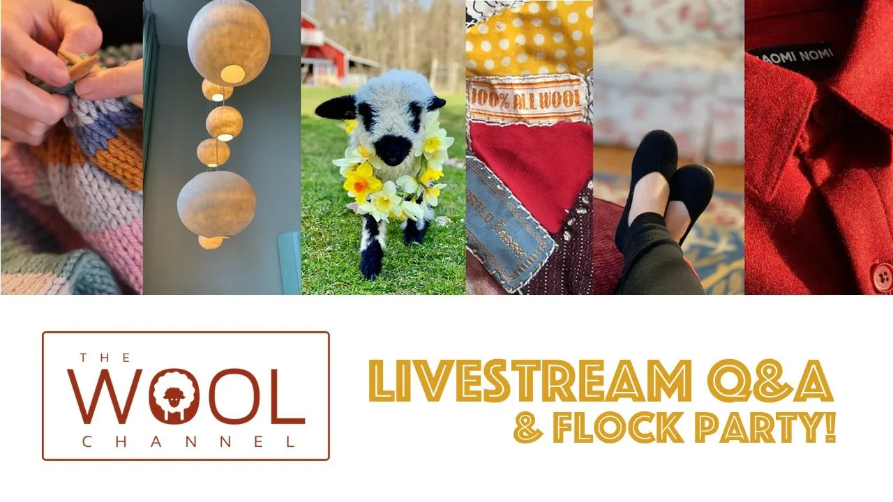 Time for Our First Flock-Talk Q&A Party!