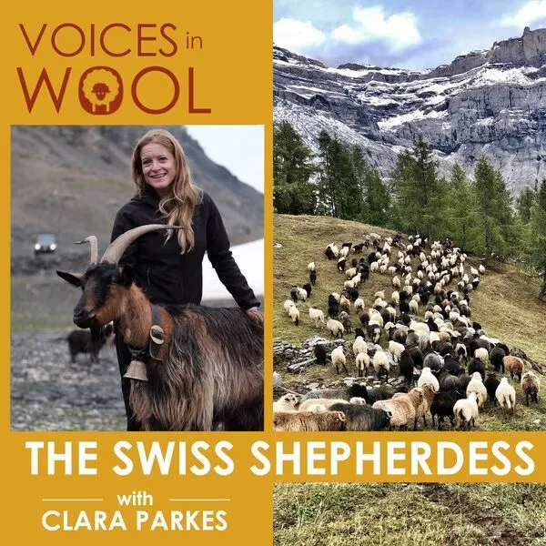 Listen to Voices in Wool