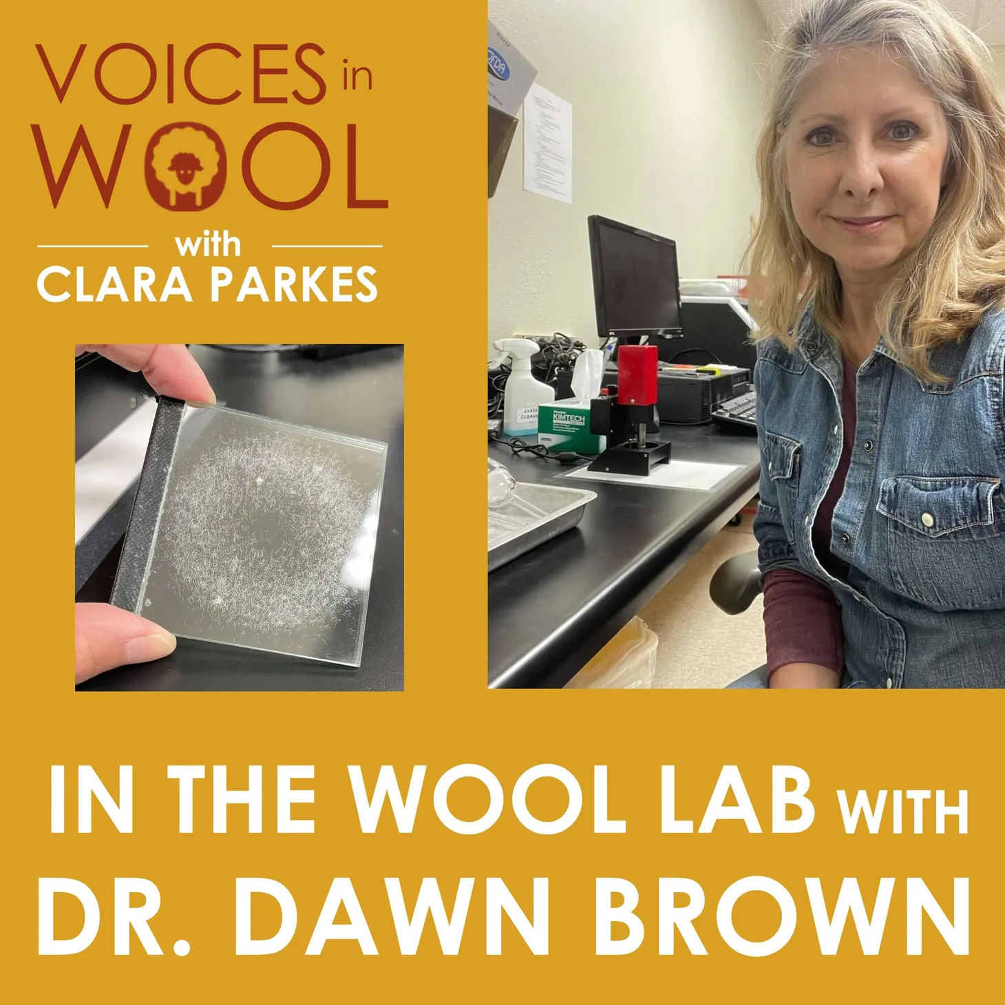 She Tortures Wool for a Living: Meet the Woman Helping Revive Commercial Wool Testing in the United States