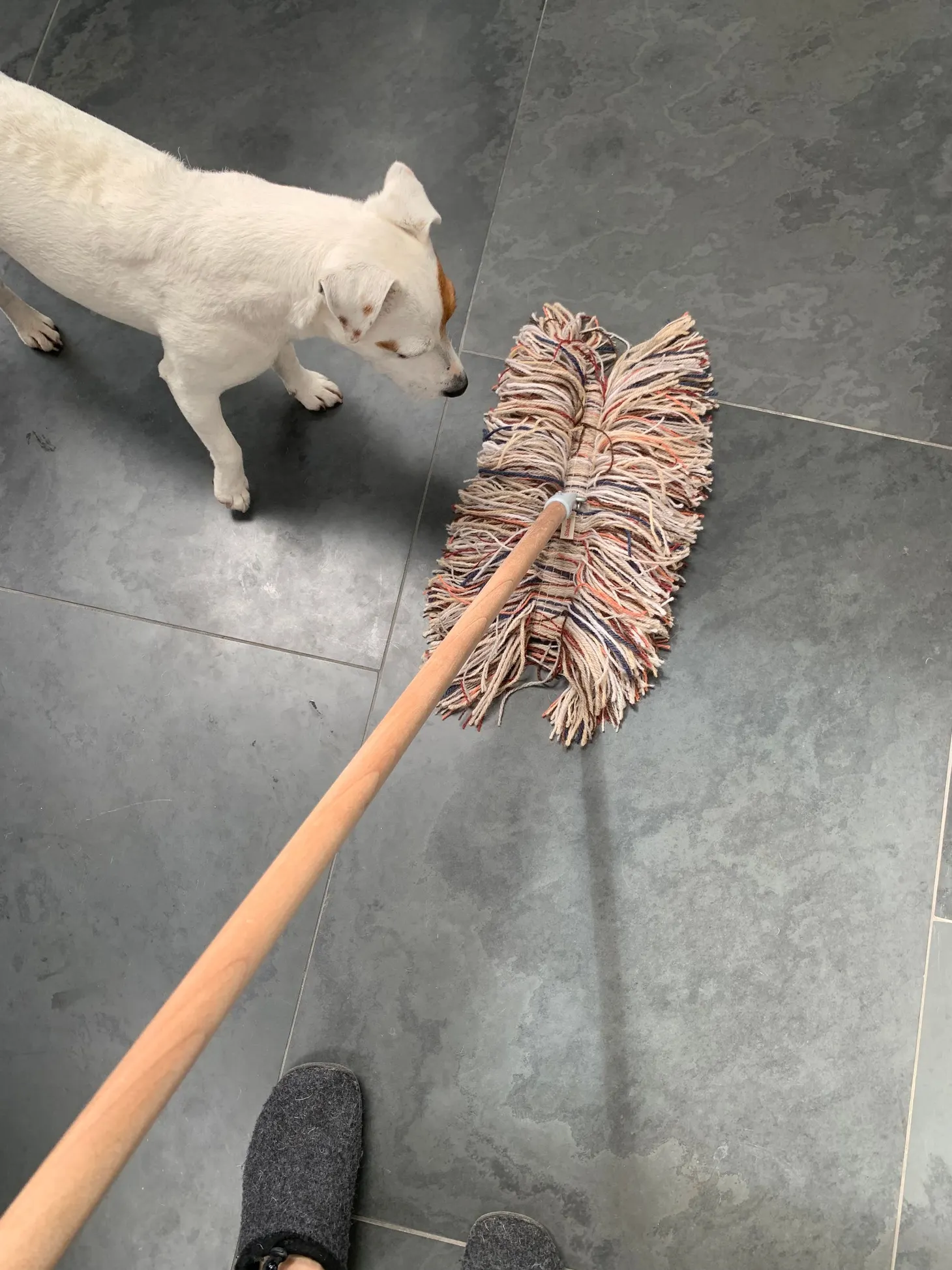 Walking the Floor Over Ewe: Wool Dust Mops