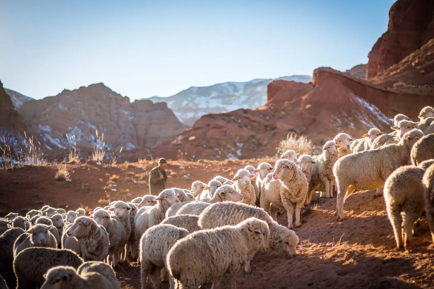 The Wool Wire | February 22, 2023