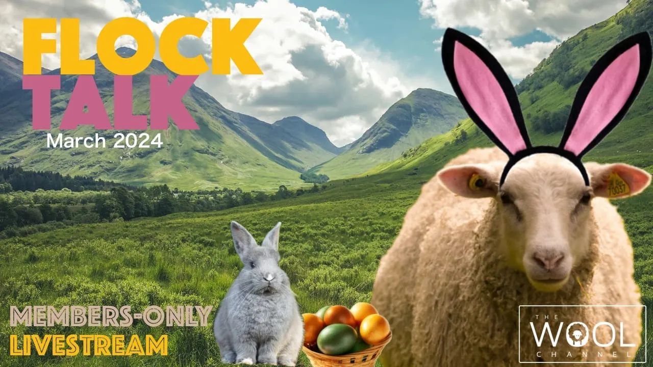 Flock Talk in One Hour!