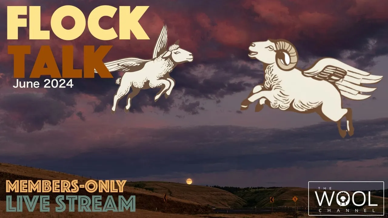 Flock Talk starts in one hour!