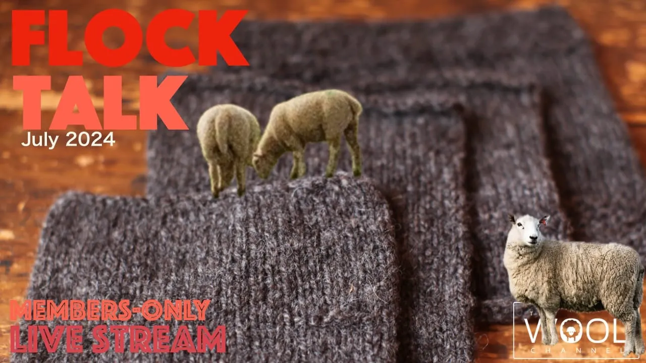 Flock Talk starts in one hour!