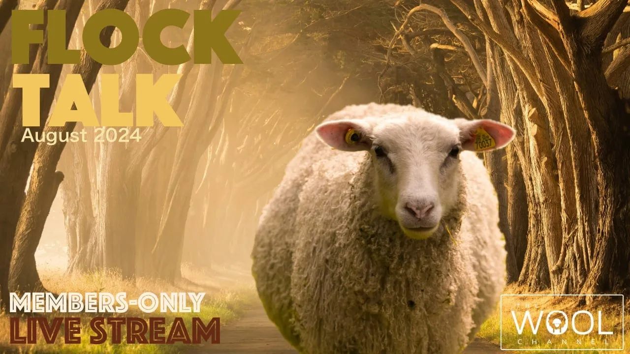 Flock Talk starts in one hour!