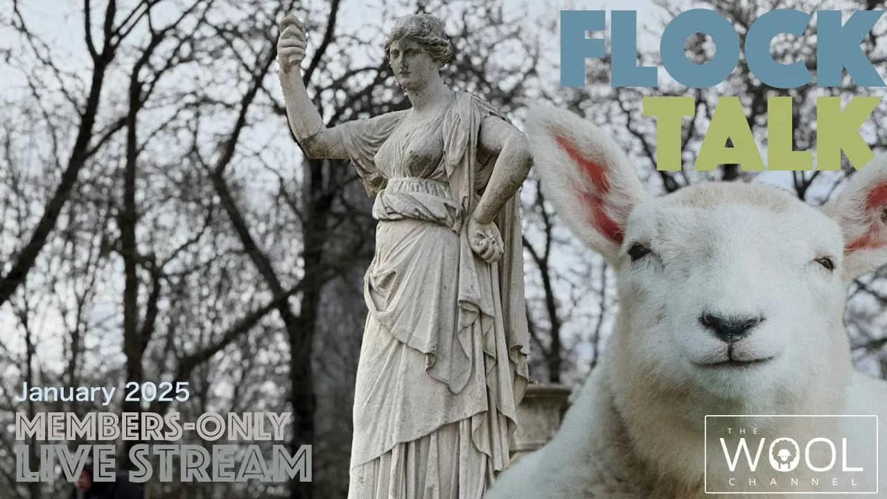 Join me for Flock Talk in one hour!