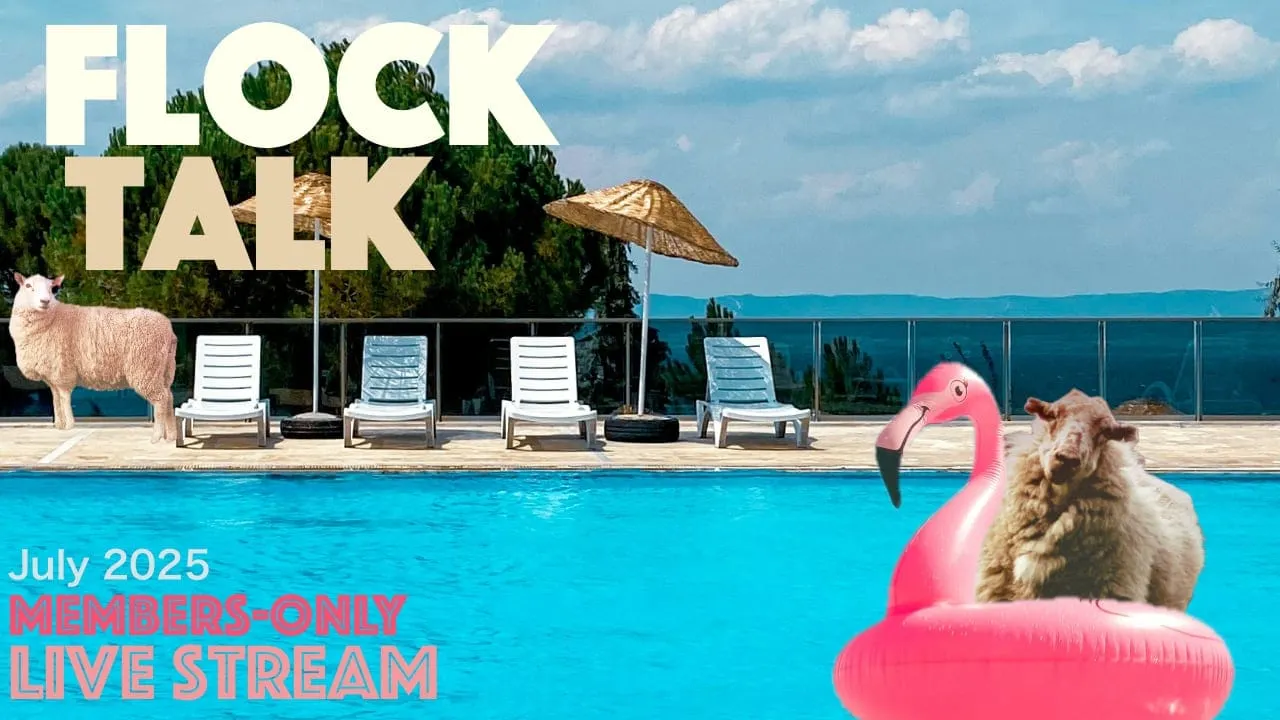 Flock Talk in an hour!