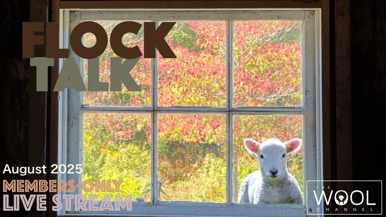 Flock Talk starts in an hour!