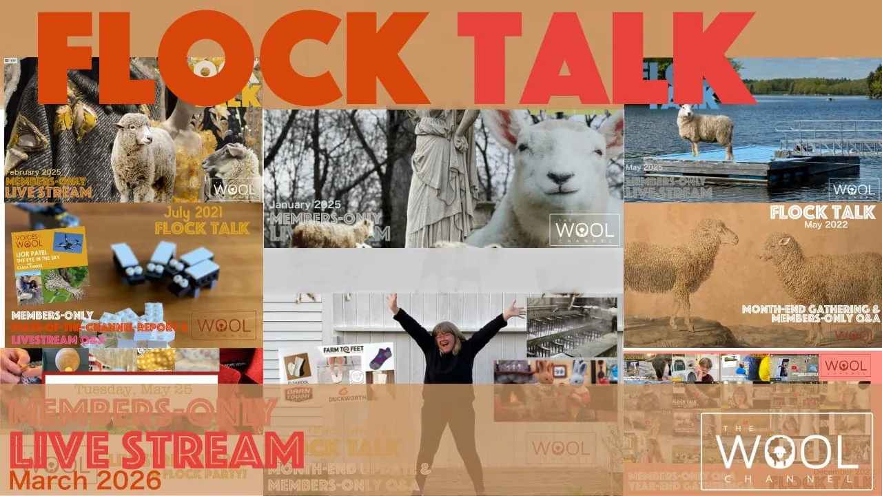 Flock Talk in One Hour!