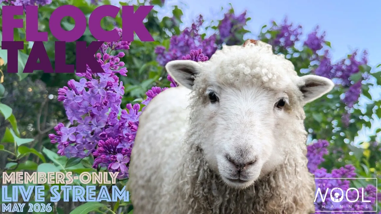 Flock Talk This Saturday!