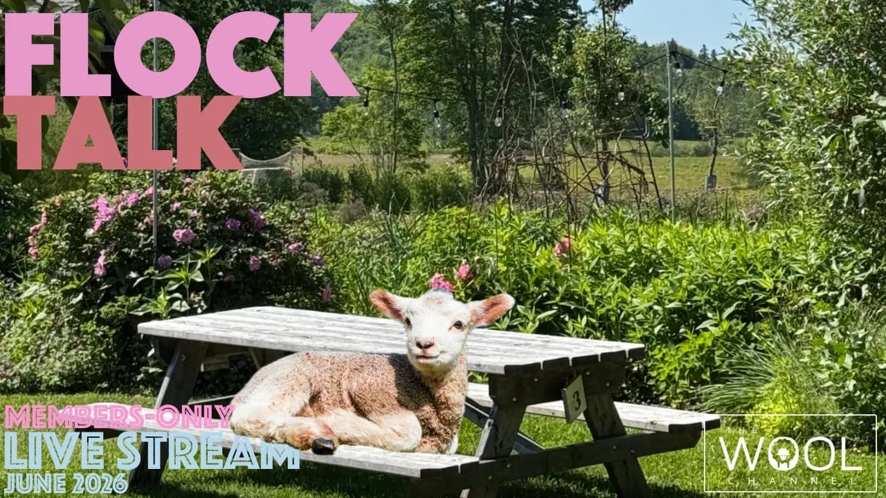Flock Talk This Tuesday!