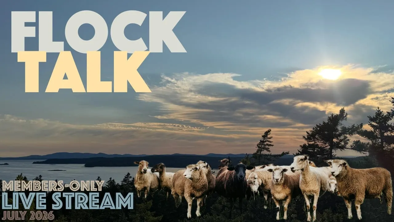 Flock Talk on Friday!