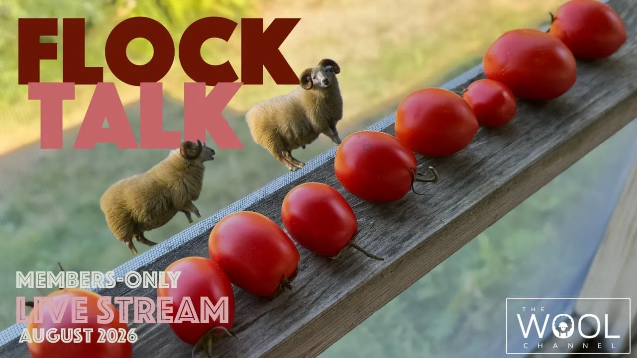 Flock Talk on Monday!