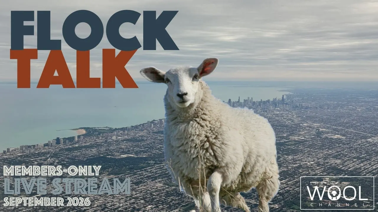 Flock Talk on Wednesday!