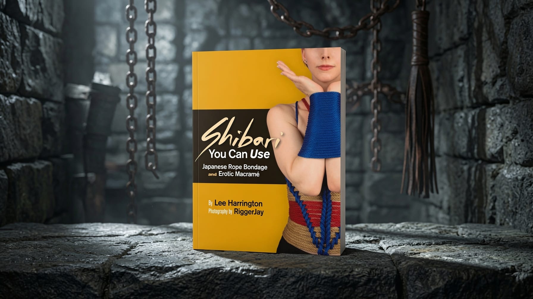 Shibari You Can Use bei Amazon ansehen*