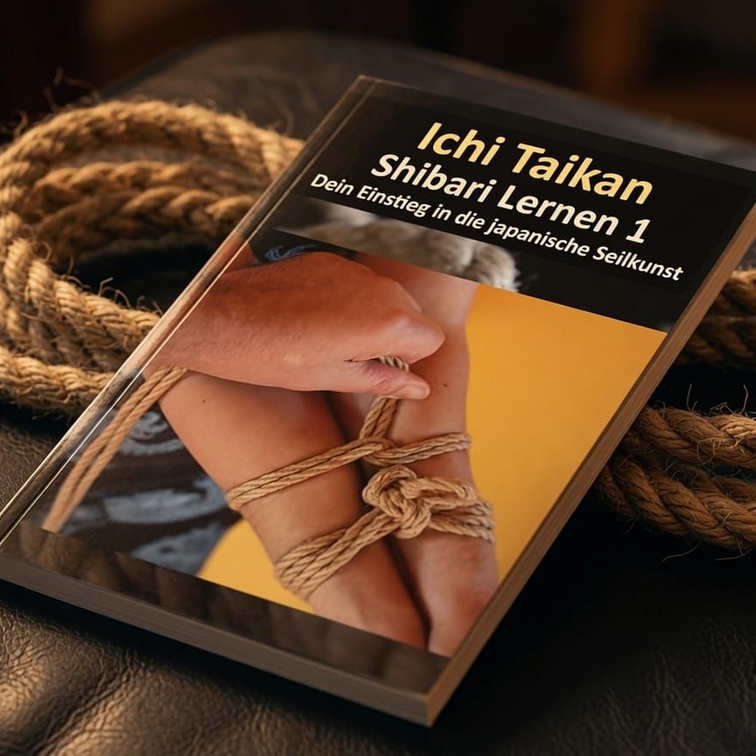 Buchcover Shibari Lernen 1