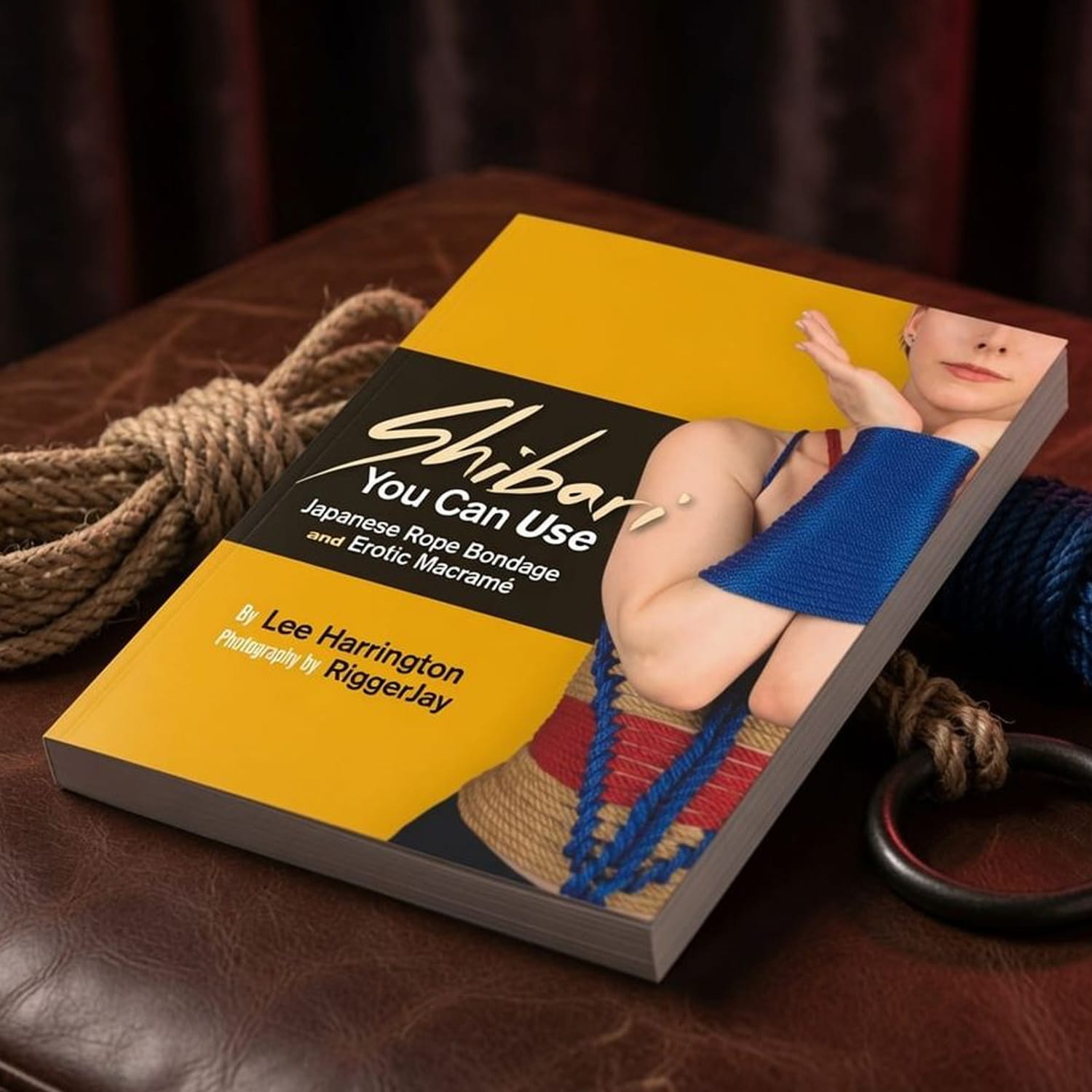 Buchcover Shibari You Can Use