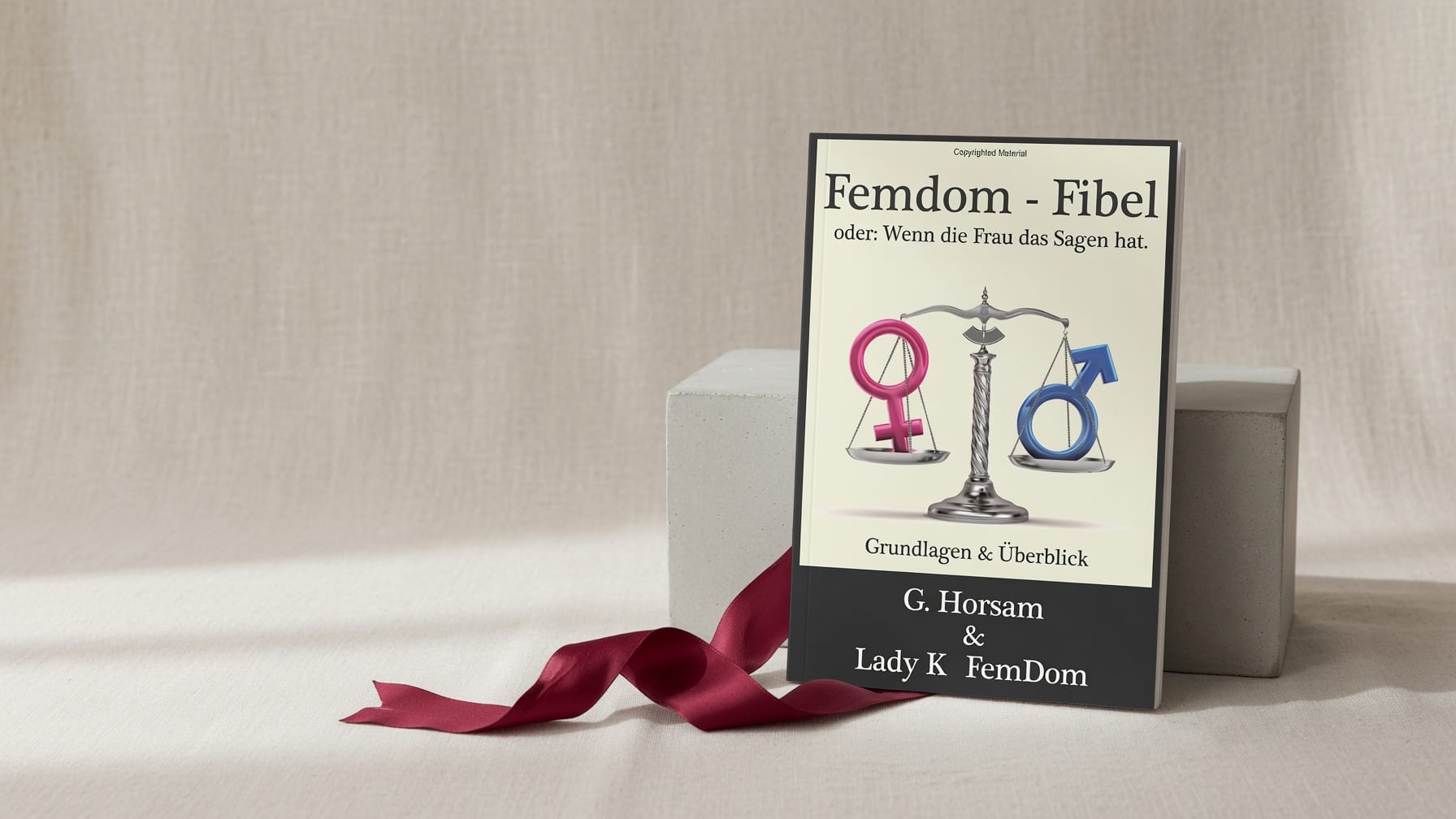 Femdom-Fibel oder: Wenn die Frau das Sagen hat bei Amazon ansehen