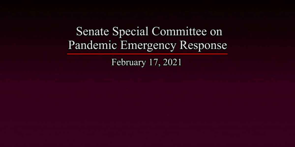 CQEL Senate Testimony: Special Committee on Pandemic Emergency Response
