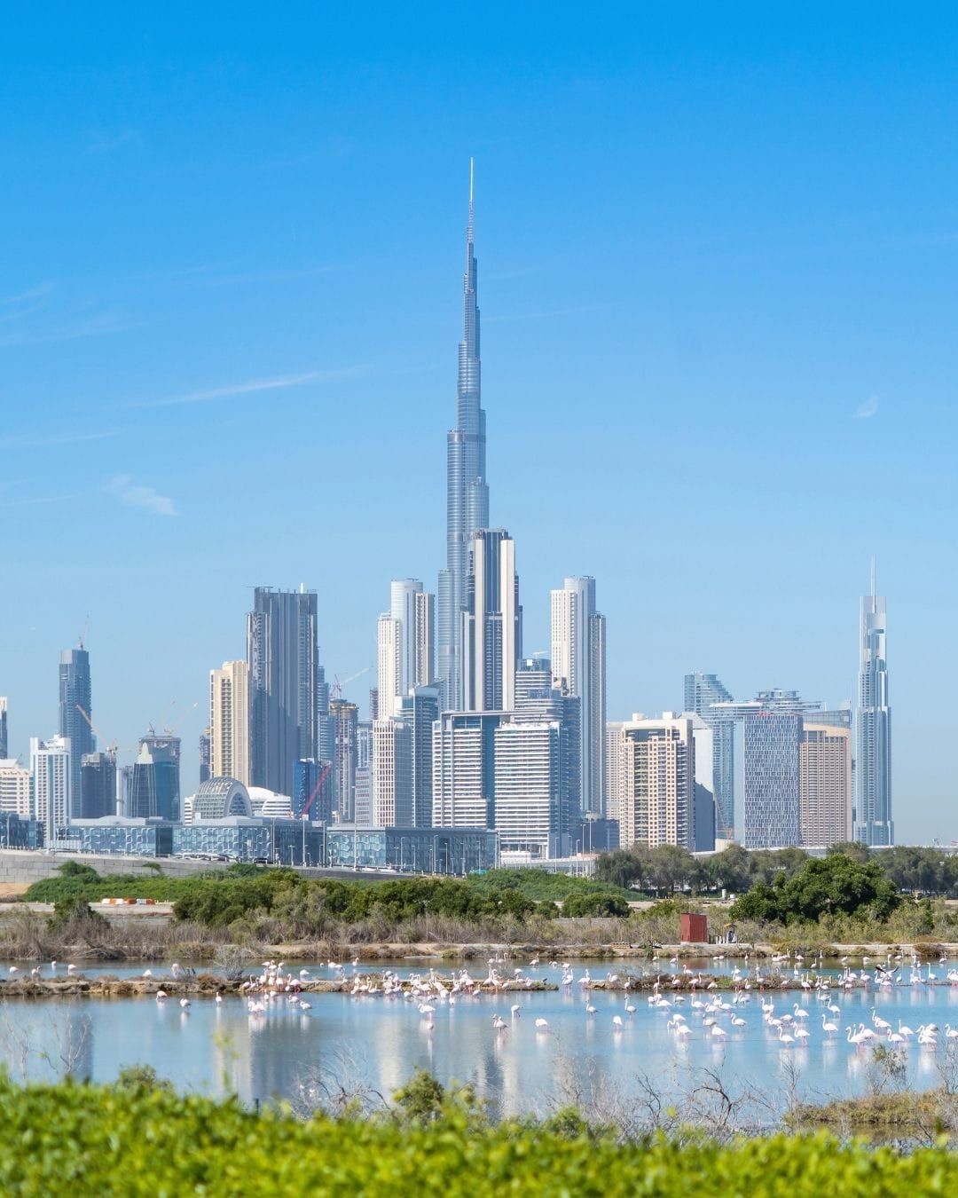 A Love Letter to Dubai