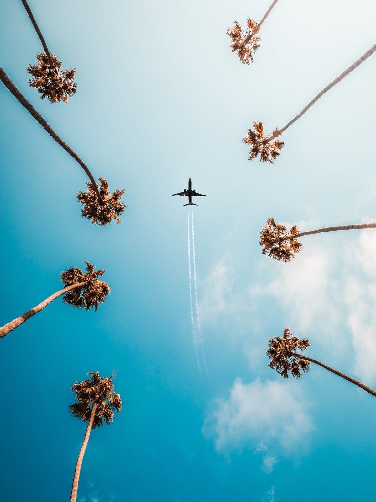 How to Survive and Thrive on a Long-Haul Flight