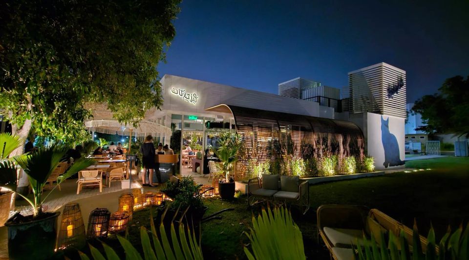 Why Lazy Cat Isn’t Quite What the Influencers Say