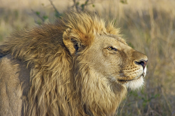 Who's Afraid of Being a Servant Leader?