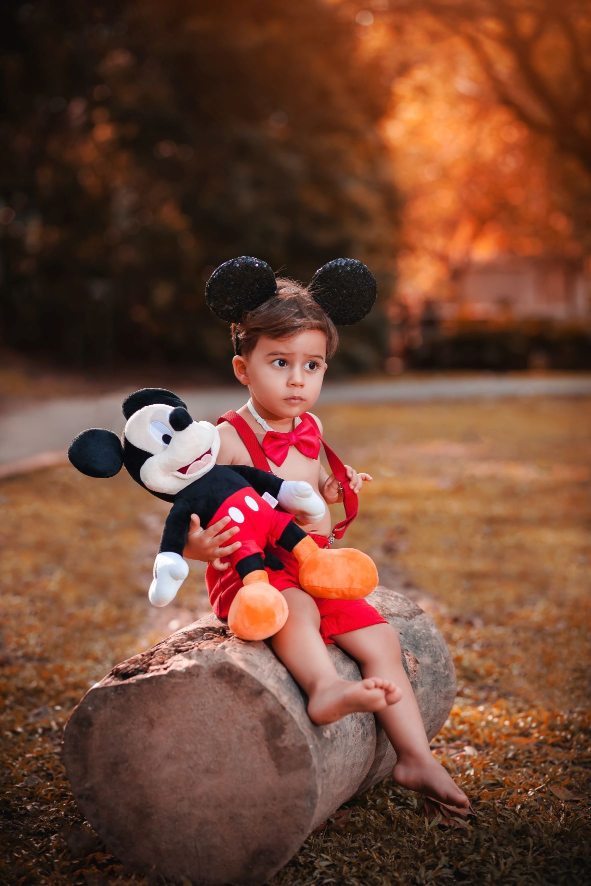 best stroller to take to disney