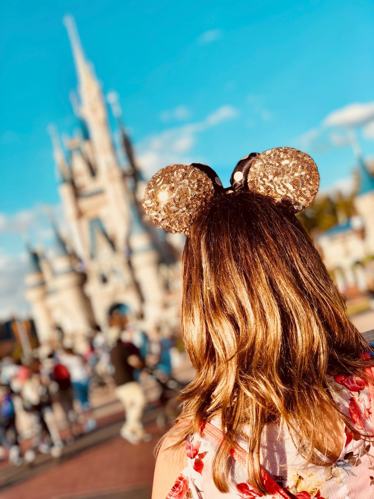 best stroller disney world