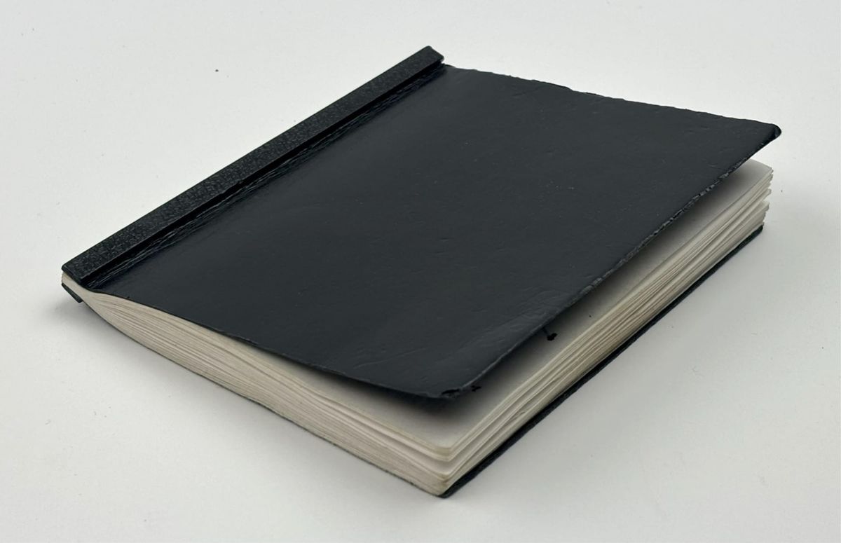 True Transparency: The Epstein Black Book