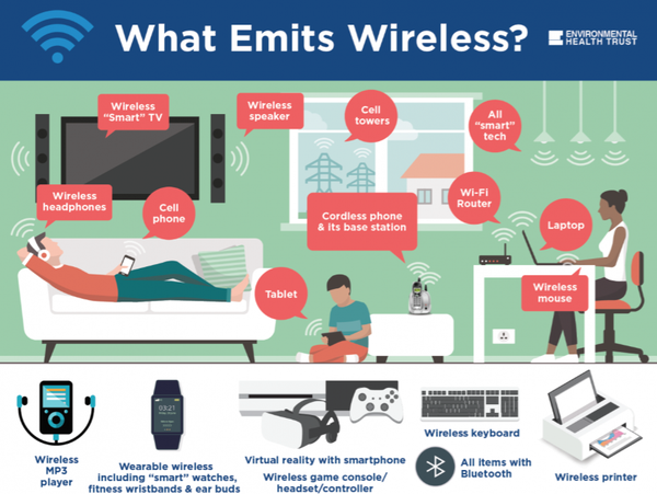 Citizen Press Release - Holding the FCC Accountable: SWORT/EHT Seek Citizen, Lawmaker Support
