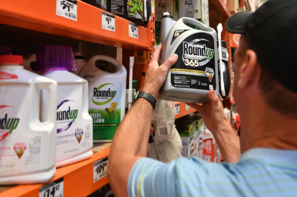 Bayer Sneaks Special Interest Clause Into Budget Bill, Seeks Liability Shield From Carcinogen