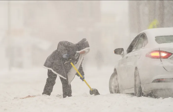 As Ohio Digs Itself Out of One of the Worst Snow Storms in Ten Years, Many Ask How Natural Is Fern?