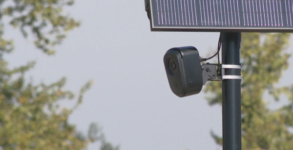 Flock Cameras and Mass Immigration Form Springfield Recipe for Public Frustration