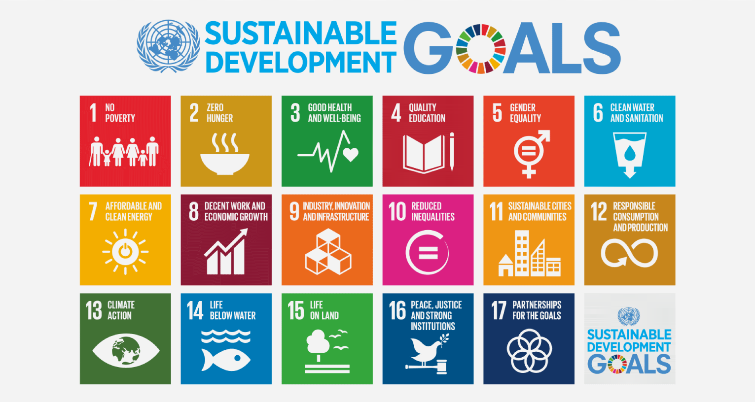 The 17 Sustainable Development Goals adopted by the United Nations General Assembly in 2015