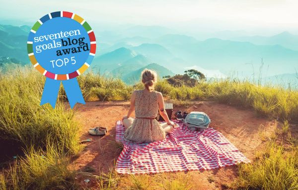 seventeen goals Blog Award August