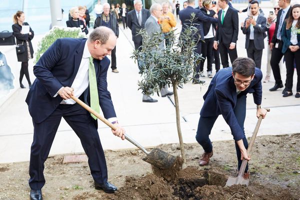 Plant For The Planet: Bäume pflanzen für mehr Klimaschutz