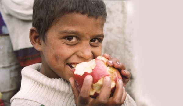 Renovabis setzt sich für die  Schöpfung und den Klimaschutz ein