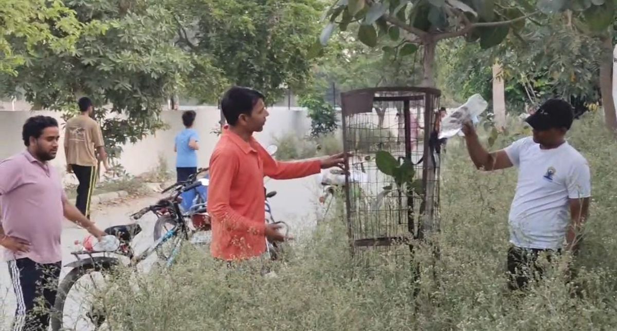 साइकिल सैर - पेड़ों की खैर और "पेड़ों को जल - धरा को बल" का लिया संकल्प