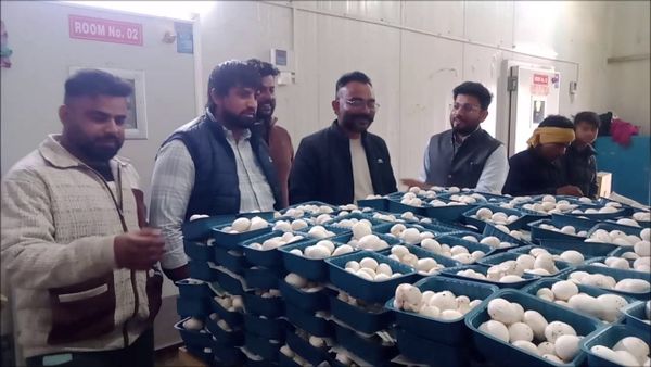 बागवानी विभाग पलवल द्वारा किसानों को मशरूम की खेती के लिए किया प्रोत्साहित