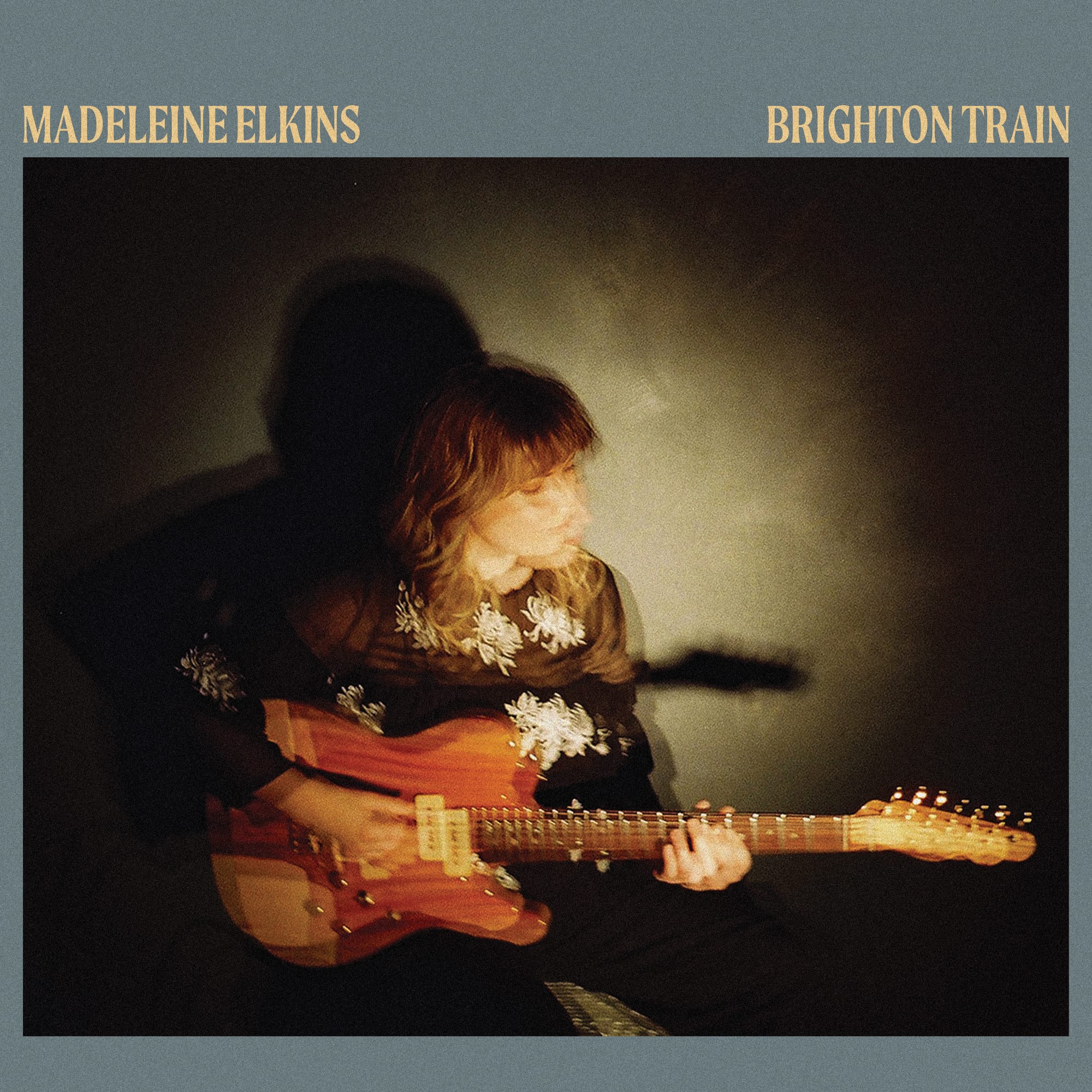 Brighton Train cover
