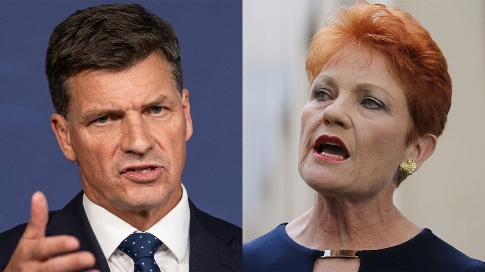 Angus Taylor and Pauline Hanson shown side by side on Sky News