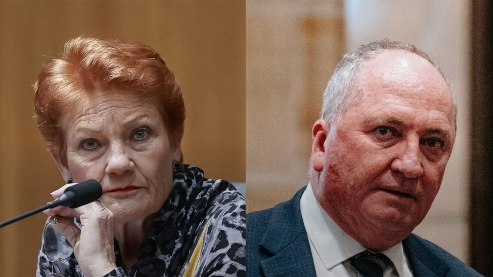 Pauline Hanson and Barnaby Joyce shown in Sky News rift segment