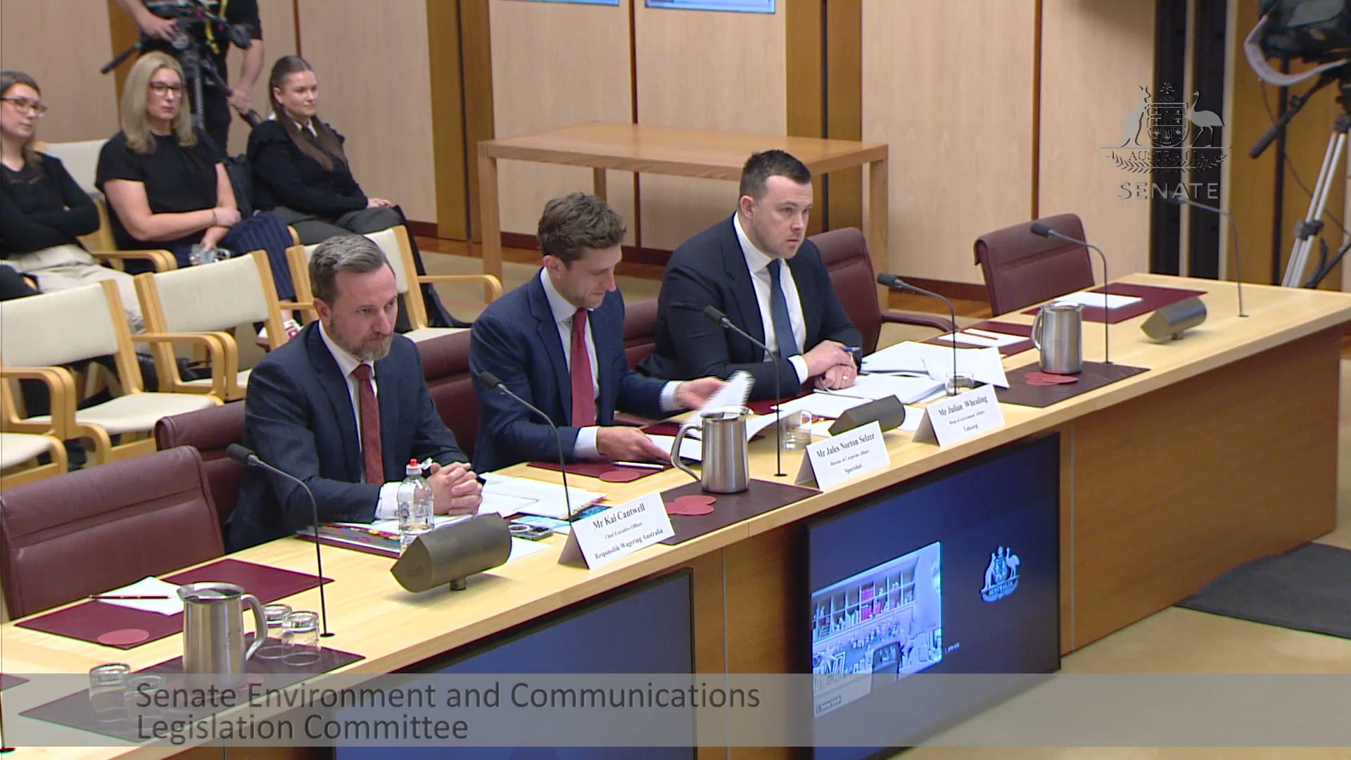Kai Cantwell, Jules Norton Selzer and Julian Whealing at the witness table
