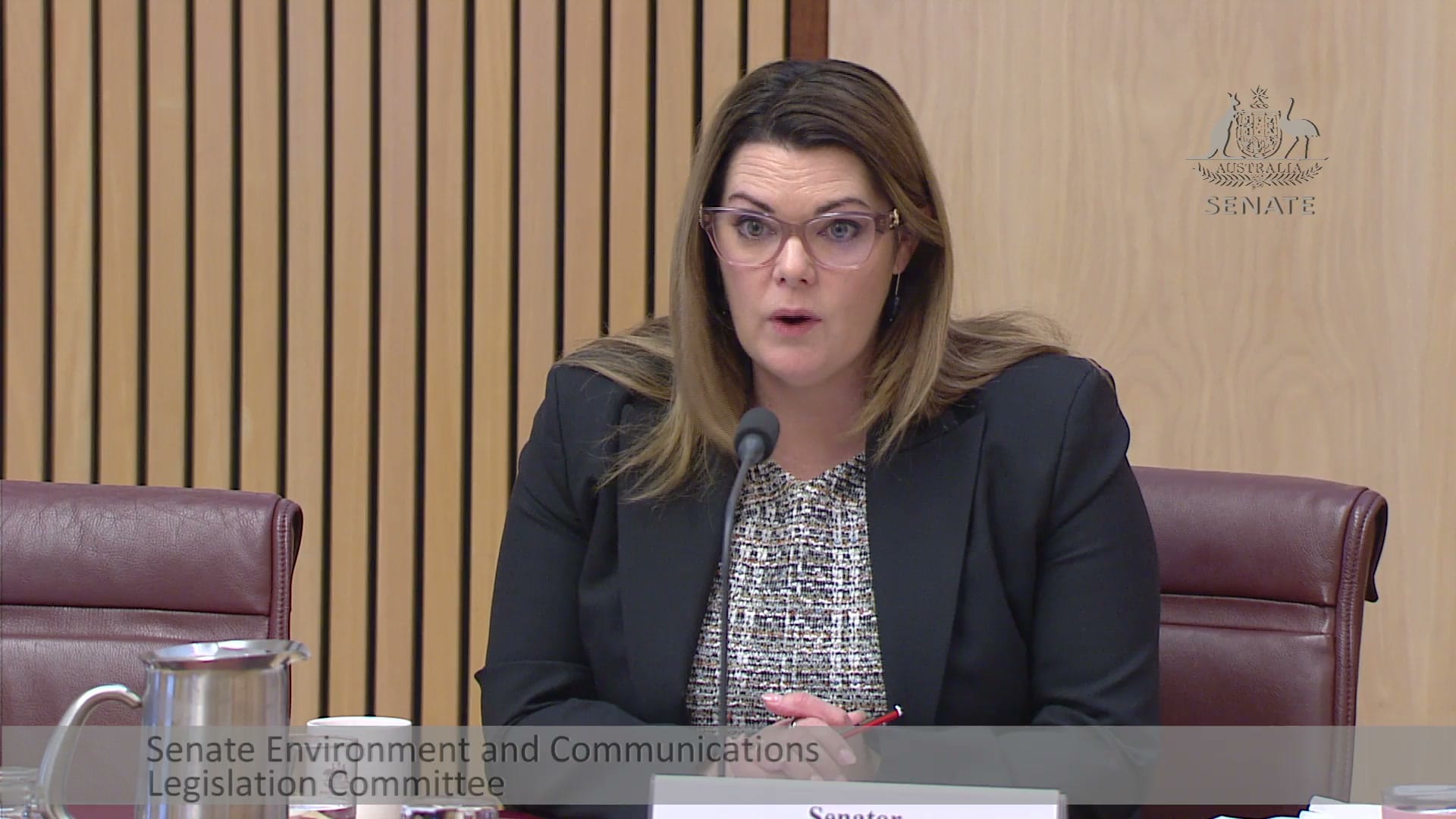 Sarah Hanson-Young questioning officials at the Senate gambling advertising inquiry