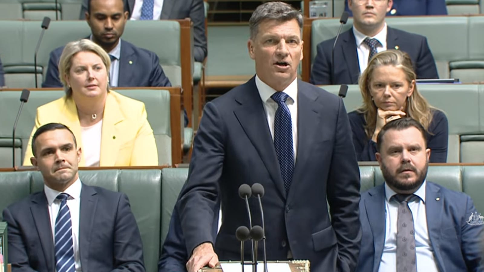 Angus Taylor speaking at the despatch box in the House of Representatives