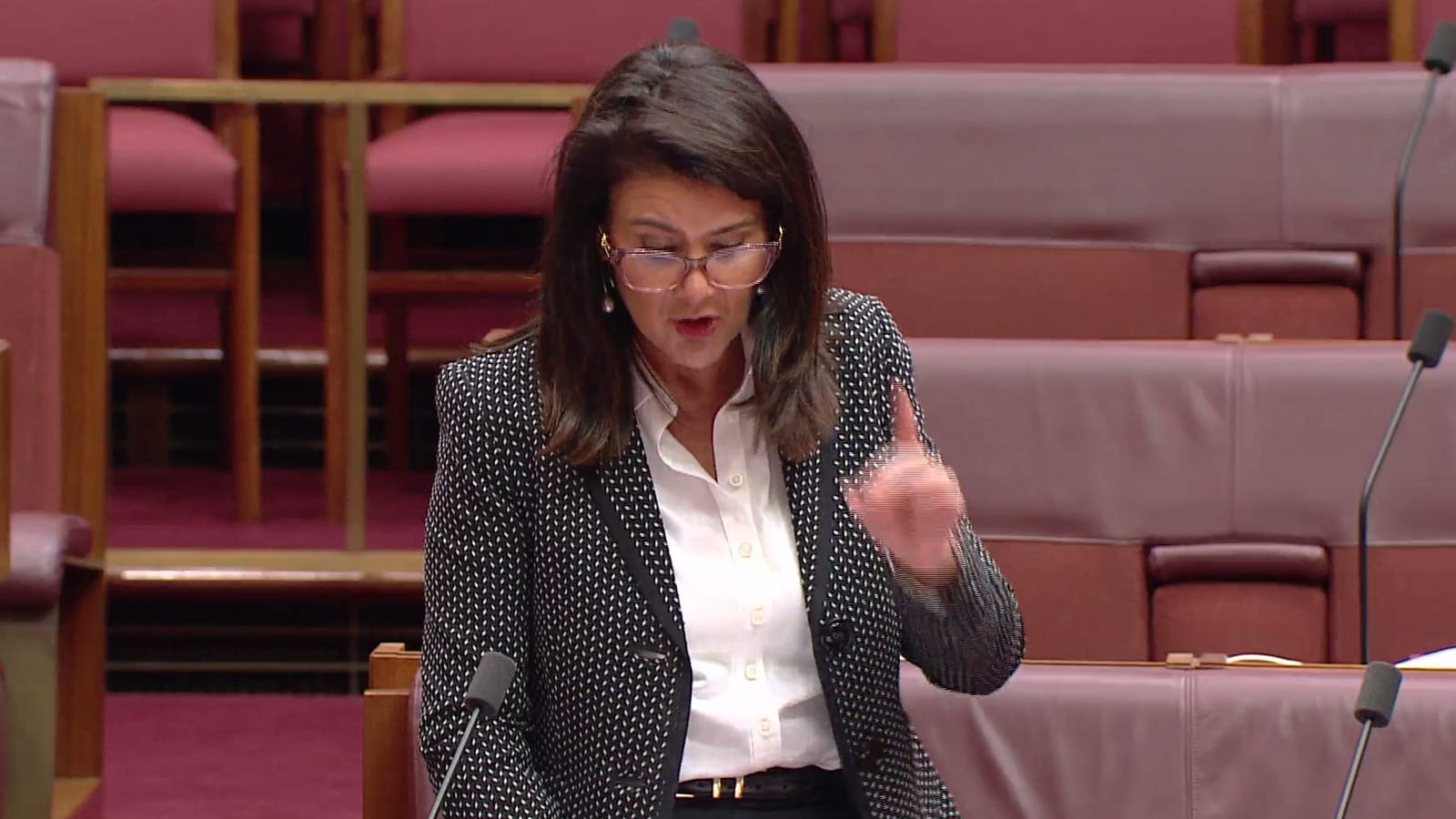 Jane Hume speaking in the Senate chamber with one hand raised