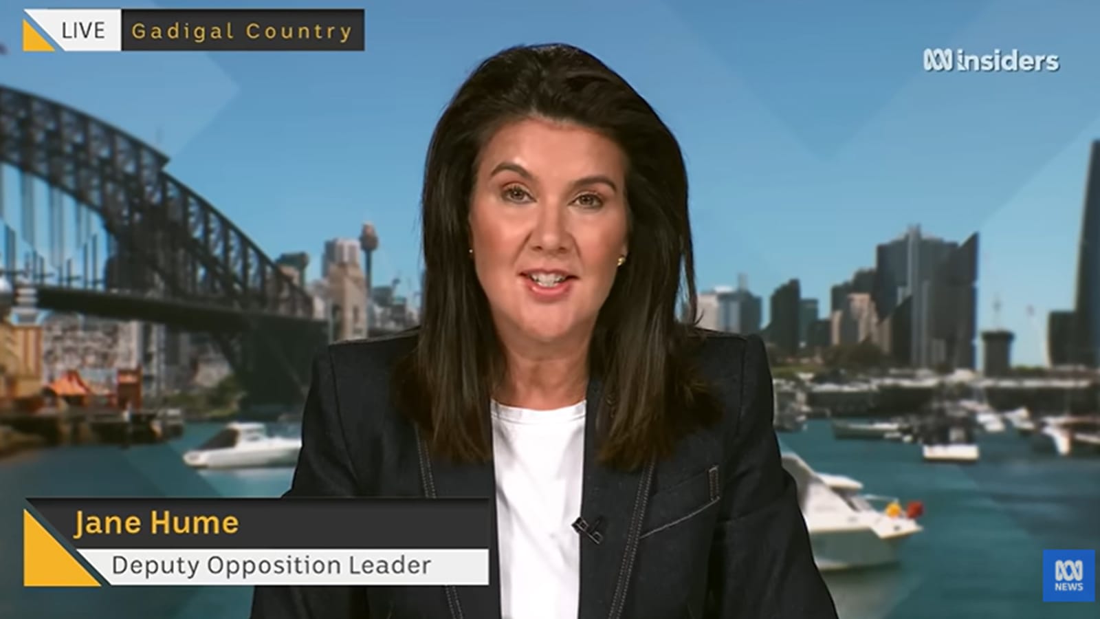 Jane Hume speaking on ABC Insiders with a Sydney Harbour backdrop.