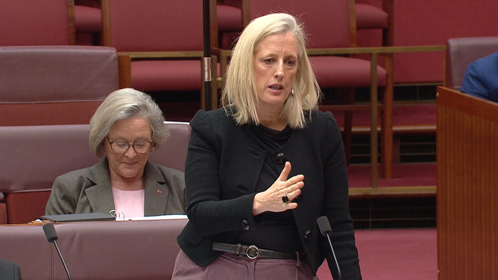 Katy Gallagher speaking in the Senate chamber during a bill debate